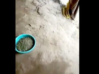 Indian wife flaunts her assets in a brief exhibition