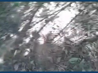 Pago Randi's wild outdoor orgasm