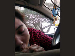 Beautiful solo woman gives a blowjob in a car